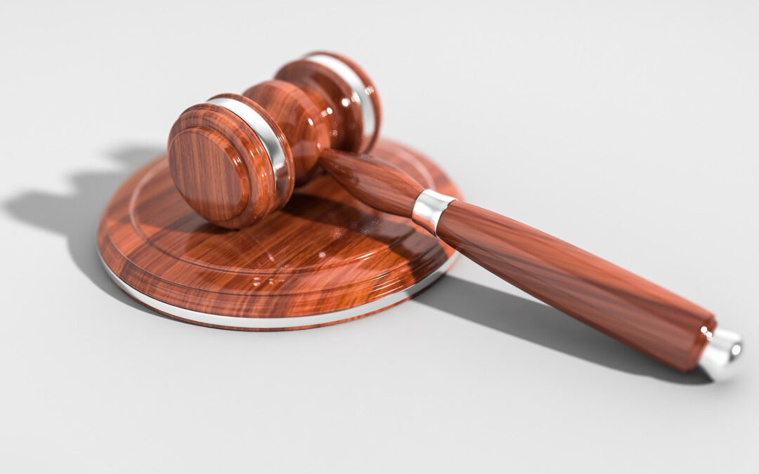 Appellate Advocacy: 5 Keys to Developing Persuasive Briefs & Oral Arguments