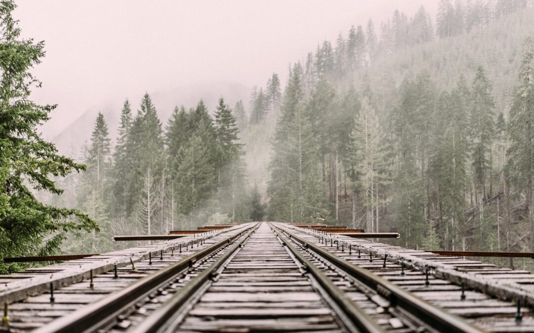 Attorneys Damico, Donahoe, Podheiser & Jackson Obtain Victory For Railroad Client In PA Supreme Court