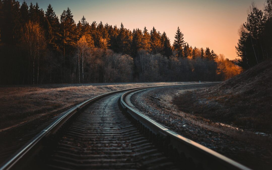 Attorneys Damico, Olarczuk-Smith & Sigurdson Win Appeal for Two Railroad Carriers