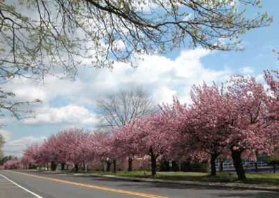 Cherry Hill, NJ
