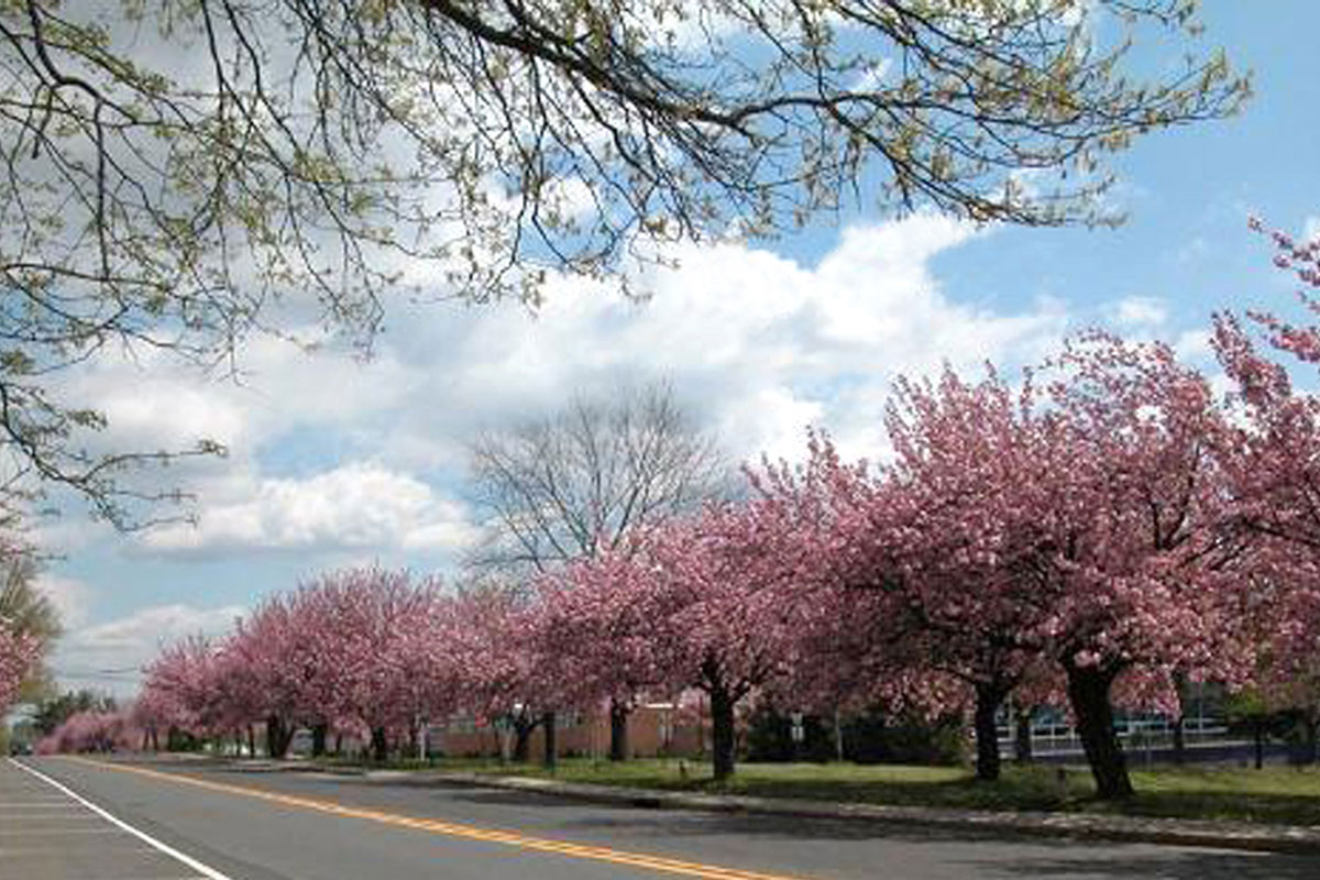 BurnsWhite-CherryHill-NJ